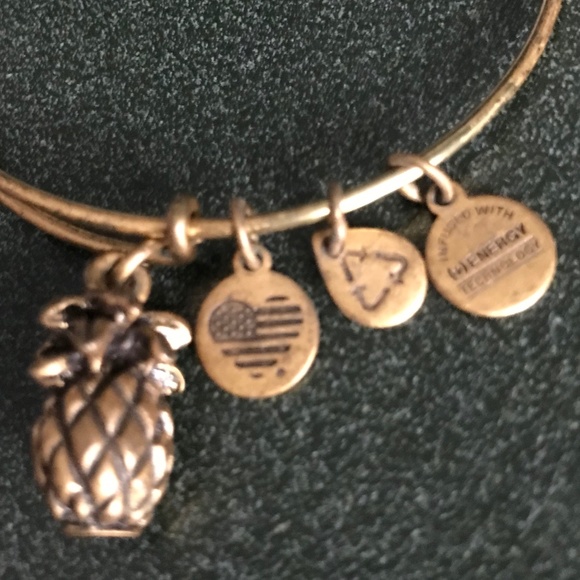 Alex and Ani Expandable Wire Bracelet Pineapple Charm - Picture 6 of 13